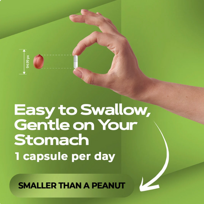 EverVision 14-in-1 Advanced Eye Formula (Trusted By US Doctors)